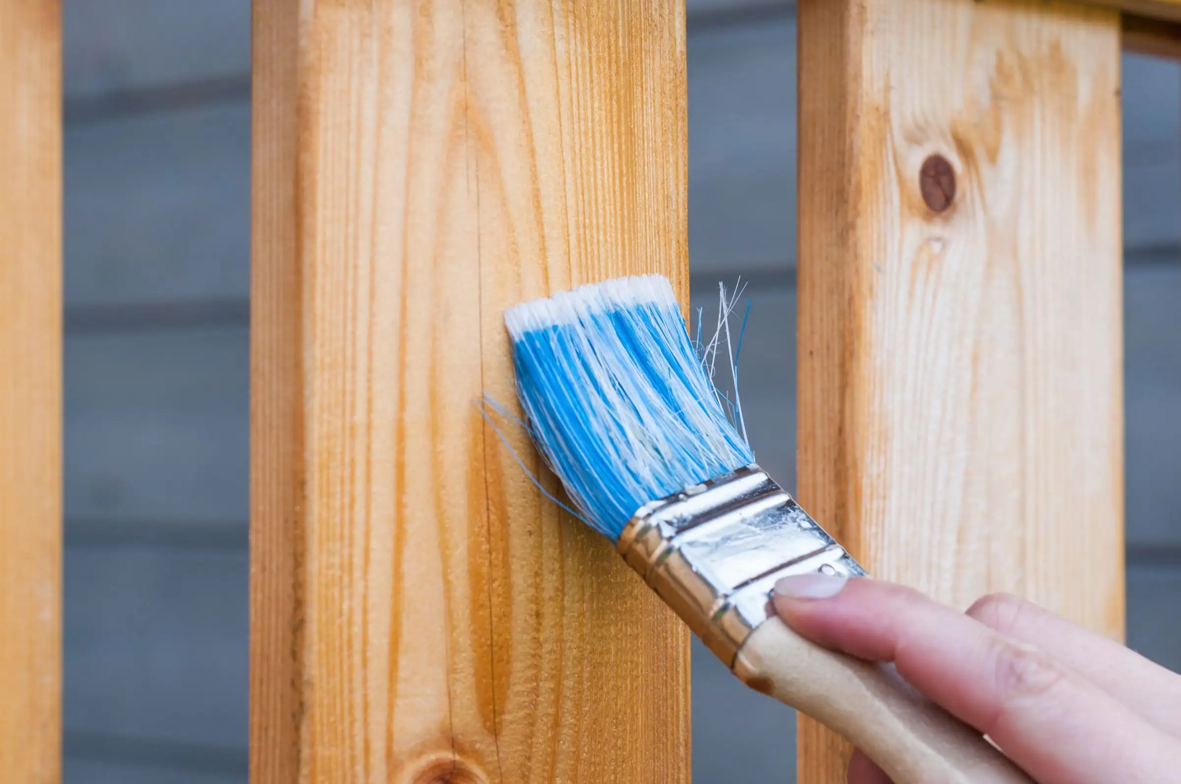 Brush applying stain to a wooden fence board